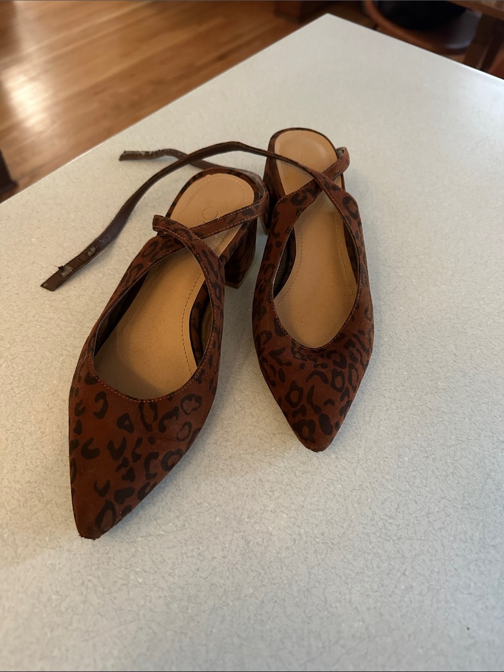 LOFT Brown Leopard Print Pointed Toe Slingback Heels